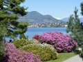 giardini isola bella